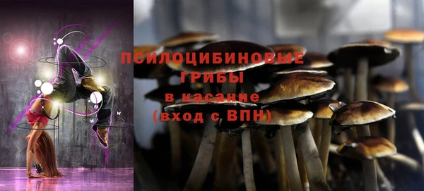 индика Инта