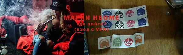 индика Инта