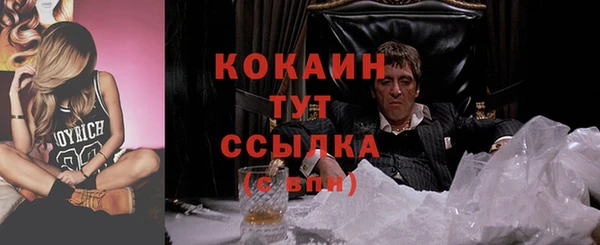дживик Зеленокумск