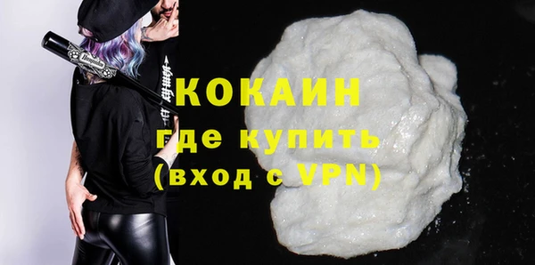 индика Инта