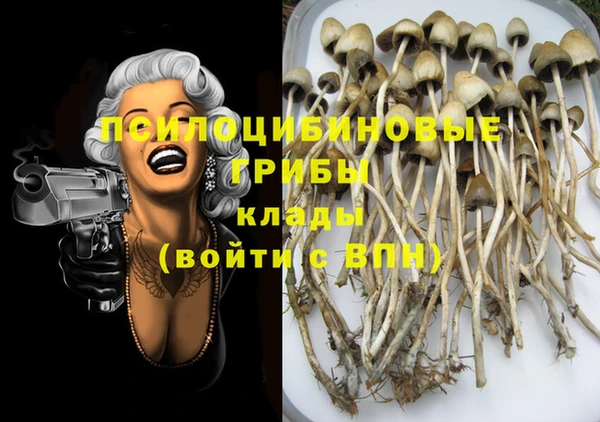стафф Иннополис