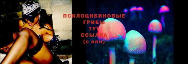 дживик Зеленокумск